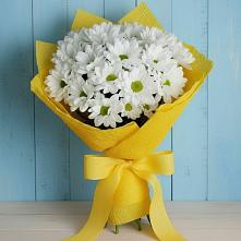 Букет цветов из:  Хризантемы #REPLACE_PRED# Ширинский