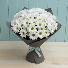 Букет цветов из:  Хризантемы в Ширинский