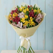 Букет цветов из:  Альстромерии #REPLACE_PRED# Ширинский