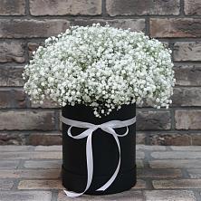 Цветочная композиция из Гипсофила в шляпной коробке в Ширинский
